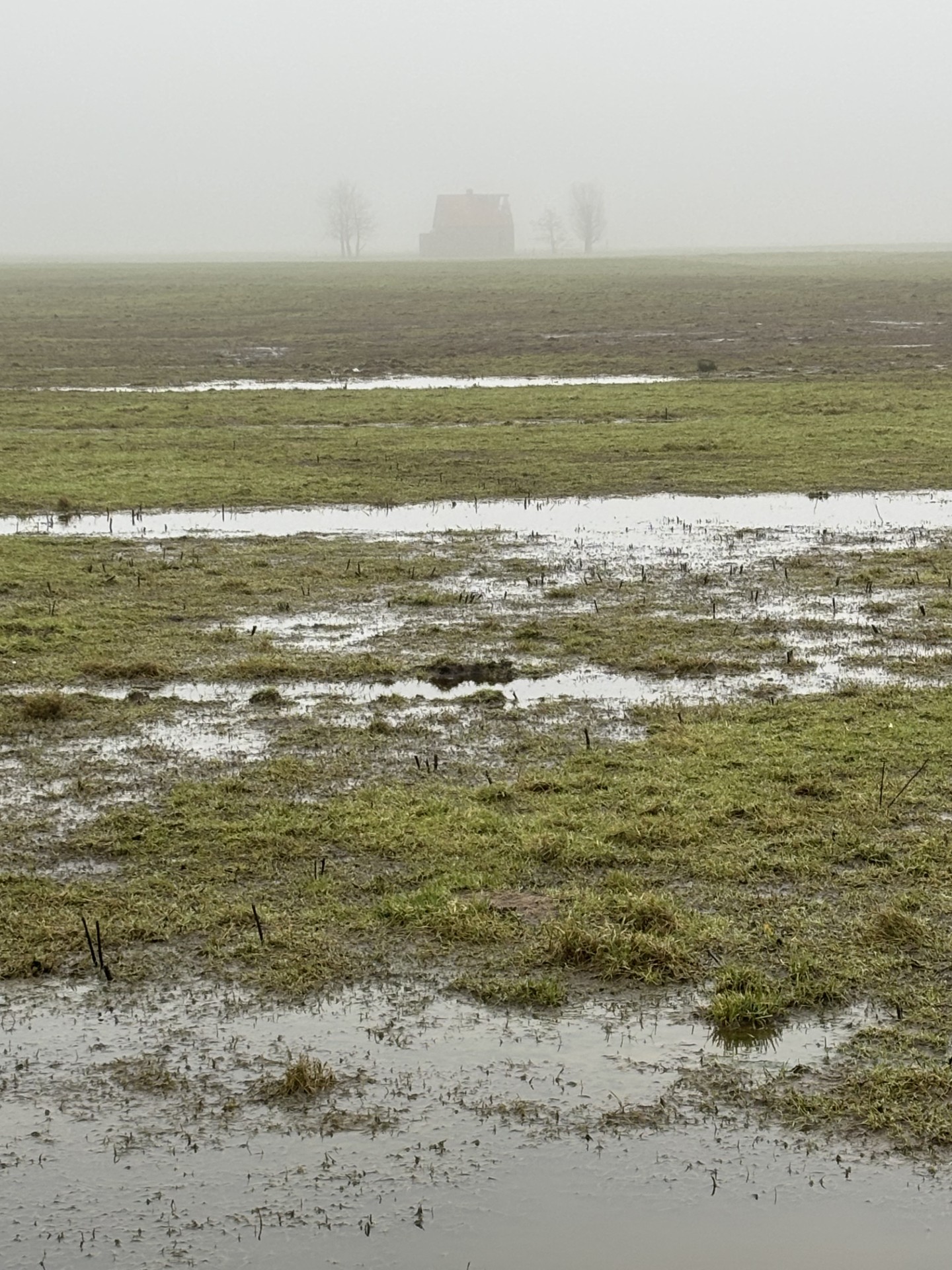 Voor de natuur