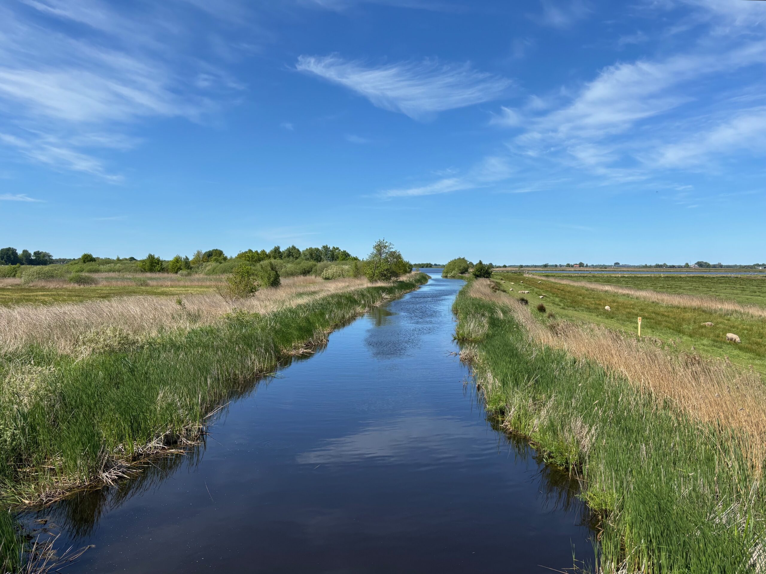 Geest en grond