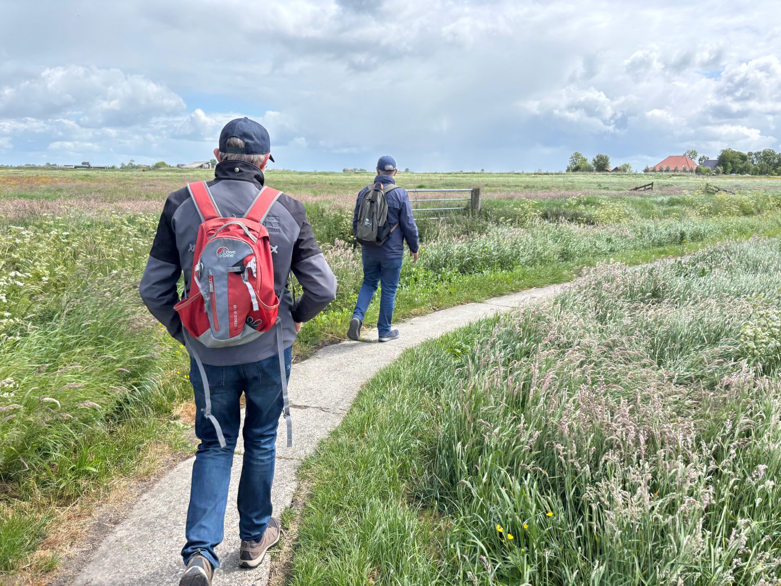 Camino