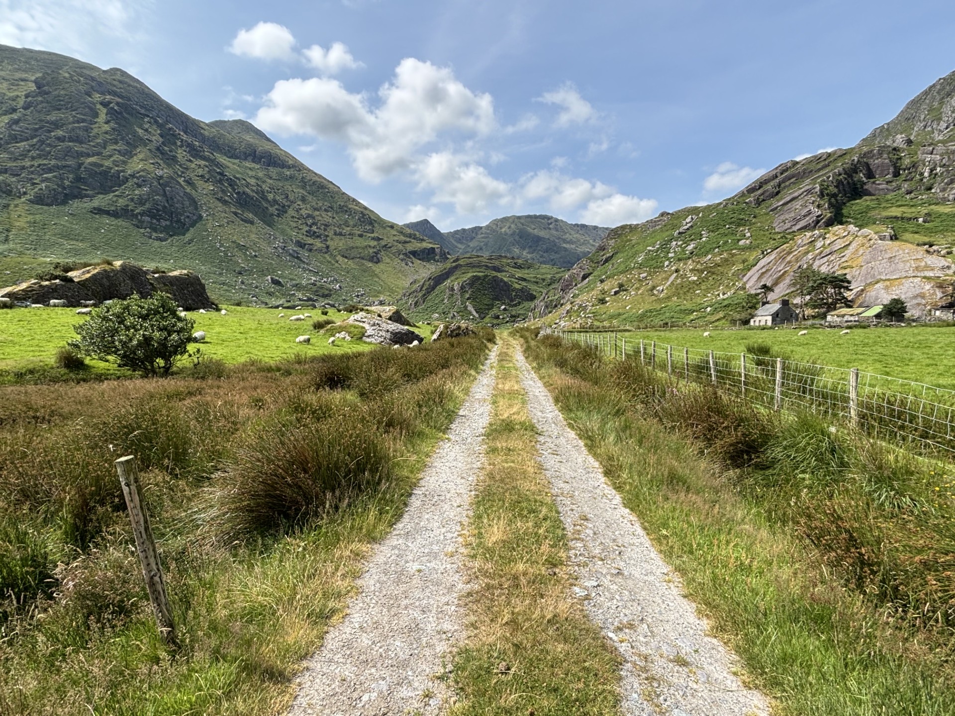 Ierland